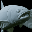 Rainbow-trout-trophy-41.png rainbow trout / Oncorhynchus mykiss fish in motion trophy statue detailed texture for 3d printing
