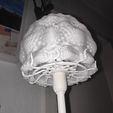 Jellyfish Lampshade