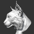 06.png Lynx head AM18 3D print model