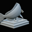 Dentex-trophy-46.png fish Common dentex / dentex dentex trophy statue detailed texture for 3d printing
