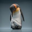 Penguin_8.jpg Emperor Penguin