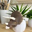 4F362A68-8E00-4296-88A7-B41153369A78.jpeg Dinosaurier-Eier 3er Set Blumentöpfe / Triceratops / Brachiosaurus / Parasaurus