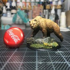 IMG_6083.JPG Free STL file Grizzly 28mm・3D printable design to download