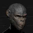 06.jpg King Monkey Mask - Kingdom of The Planet of The Apes