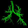 5.png 3D Model of Cardiovascular System, Thorax and Abdomen