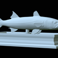 Barracuda-base-24.png fish great barracuda / Sphyraena barracuda statue detailed texture for 3d printing