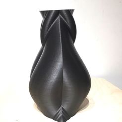 v6.jpg Download free STL file Modesty vase • 3D printing template, Brithawkes