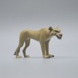 DSC_3252.jpg Lions 3D models set - STL