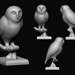 ZGrab01.png STL file owl・3D printing design to download