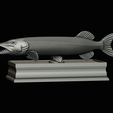 northern-pike-statue-box-1-2-1-23.png fish NORTHERN PIKE (ESOX LUCIUS) open mouth with storage space / for 3d printing