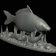 carp-high-quality-klacky-1-21.png big carp 2.0 underwater statue detailed texture for 3d printing