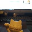 maneki-neko money cat
