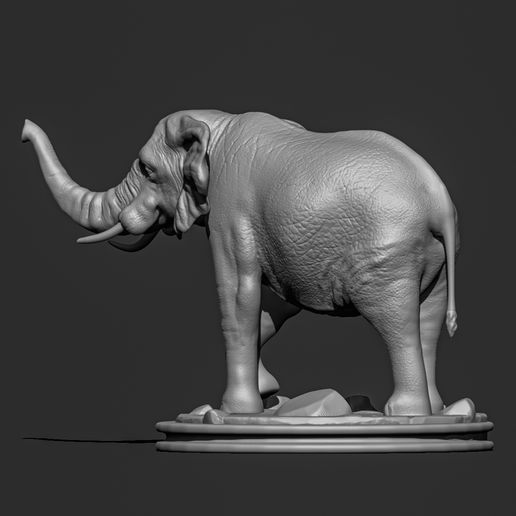 Elephant03.jpg Elephant