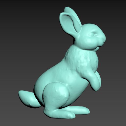 bunny 3D model preview
