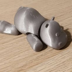IMG_20220116_204547__01.jpg Download STL file Flexi hippo • 3D print model, GedeonLab