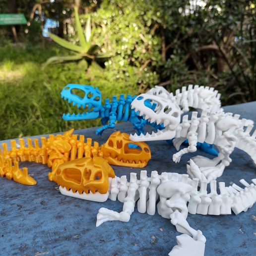 Printed_Giganotosaurus.jpg Flexi Giganotosaurus skeleton by Flexmex3dlab