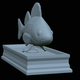 Perch-statue-22.png fish perch / Perca fluviatilis statue detailed texture for 3d printing