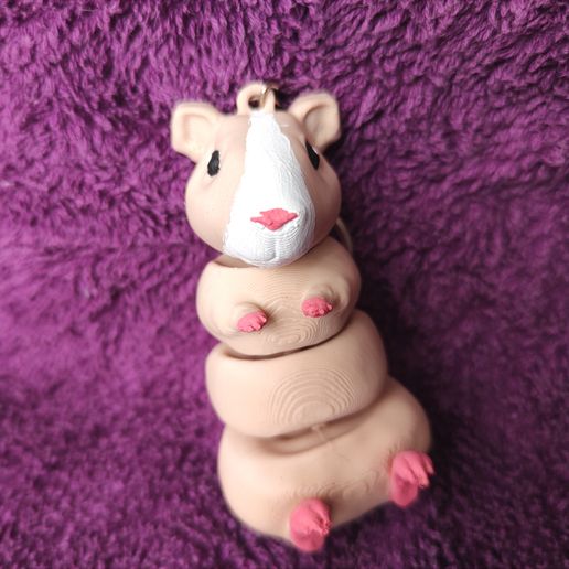 IMG_20250213_144908116.jpg Брелок для морской свинки