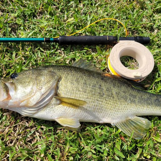 3d printed fishing reel centre pin 🎣 Hubless Centerpin Fishing Reel・3D Print・Cults