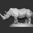 7.jpg Rinoceronte
