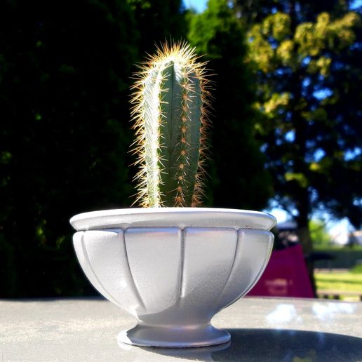 20200521_153526.jpg Dorischer Blumentopf