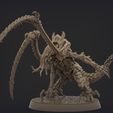nids.1151.jpg ORIGINAL PLASTIC FREE LICTOR (2-4 poses)