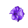 3.STL flowers 3D print model