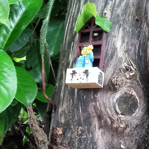 fenetre.jpg thumbnail window