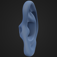 EarModel_5.png Human Ear