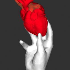5A73C491-B2D1-4086-BD05-9A5A591B9AAD.jpeg Artwork Corazón sostenida con una mano / Artwork of a Heart Held in a Hand
