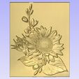 Sun.jpg Sunflower
