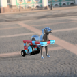 Foto9.png Professional orthopedic cart for disabled dog - Carro ortopedico profesional para perro descaderado
