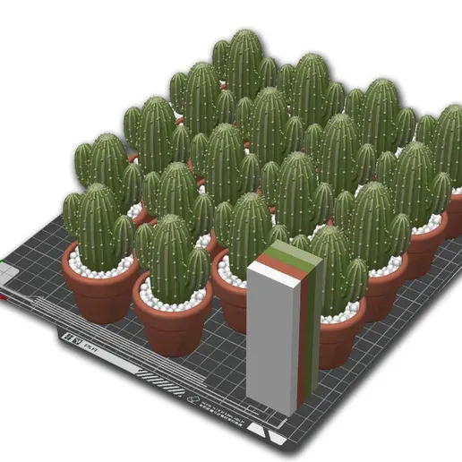 4 Color AMS Desk Cactus C - Die Pflanze, die man nicht tten  kann!Kostenlos STL Datei fr 3D-DruckCults