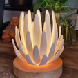 Capture-d'ecran-2025-04-03-111329.png Flower Lamp