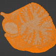 58.PNG.257bc27cfa5afb0088c8b08bbf023fdc.png 3D Model of Human Brain