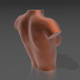 06.png 3D file Bust 08・3D printable model to download