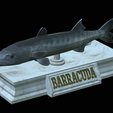 Barracuda-base-18.png fish great barracuda / Sphyraena barracuda statue detailed texture for 3d printing