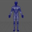wireframe1.JPG Anatomically correct muscular male body Low and High Poly Low-poly 3D model