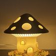 IMG_1773.jpg The Magic Mushroom Lamp!
