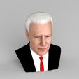 untitled.1140.jpg Joe Biden bust ready for full color 3D printing
