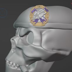 20_Skull-fernspäher.jpg Tête de mort Bundeswehr Barett Fernspähertruppe FeSpäh