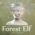 Patreon-Abril.png Elf Planter -succulent plant pot