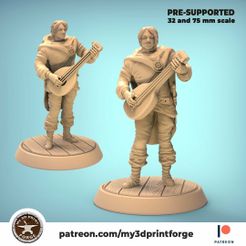 Bard-front-my3dprintforge-2.jpg 3D file Bard Half Elf・3D printable design to download