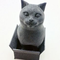 vertigo1.jpg Free STL file Schrodinky! British Shorthair Cat Sitting In A Box(single extrusion version)・3D printer design to download