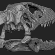 4.png Download OBJ file Deinonychus Skull • 3D print design, arric