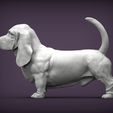 basset-hound6.jpg basset hound 3D print model