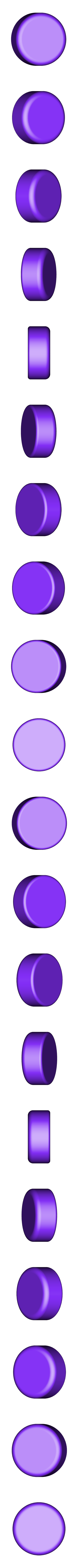 Coin (Plain).stl Bird Perch Support