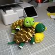 IMG_5638.jpg Articulated And Flexible Golden Turtle