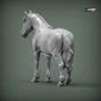 Percheron5.jpg Caballo percherón Modelo de impresión 3D