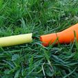 DSC00094 (Personnalisé).JPG Free STL file Watering can to be fixed on a pipe・3D printable model to download